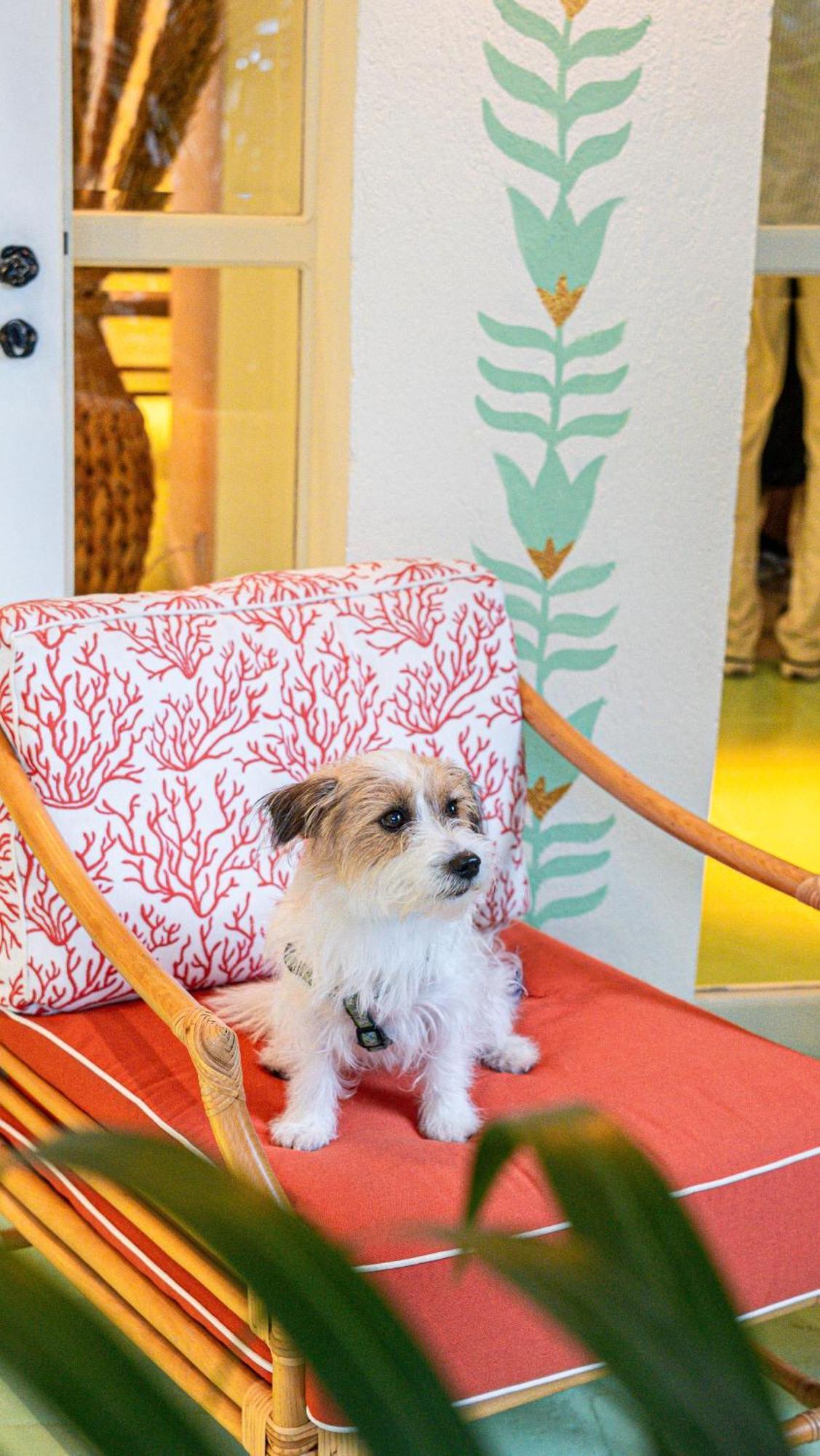 Hotel La Tartane Saint-Tropez Luaran gambar